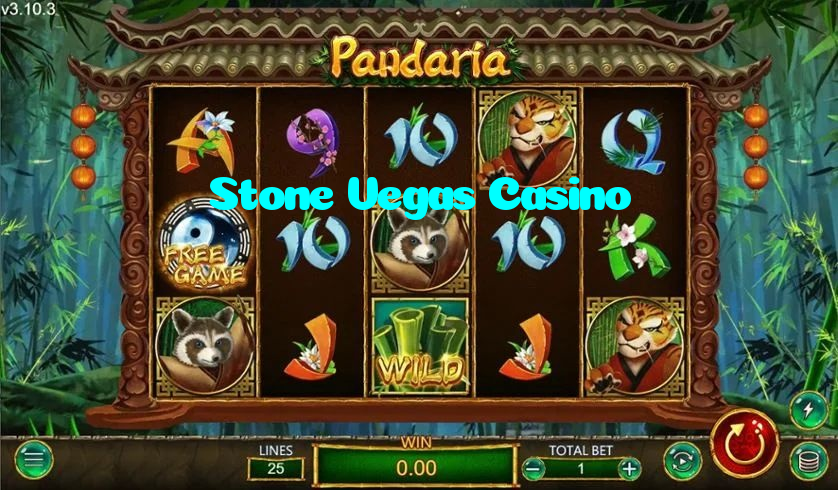 available types of Stone Vegas Casino bet including pre-match live express and system bets